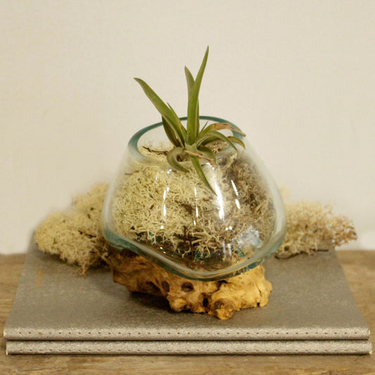 Kleine Kom Gesmolten Glas - 19cm diameter, gerecycled glas op Gamal hout, Bali