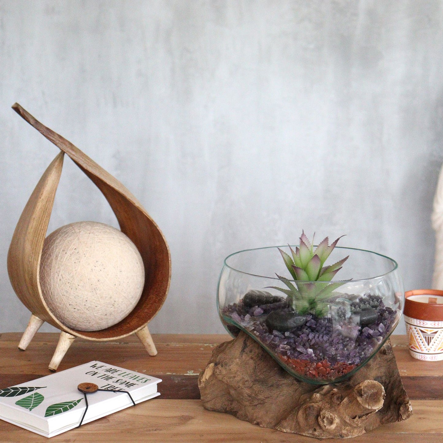 Lifestylefoto van grote open kom van gesmolten glas met vetplanten en luchtplanten, milieuvriendelijke levende terrariumdisplay
