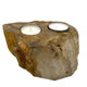Versteend Hout Kaarsenhouder - Duo