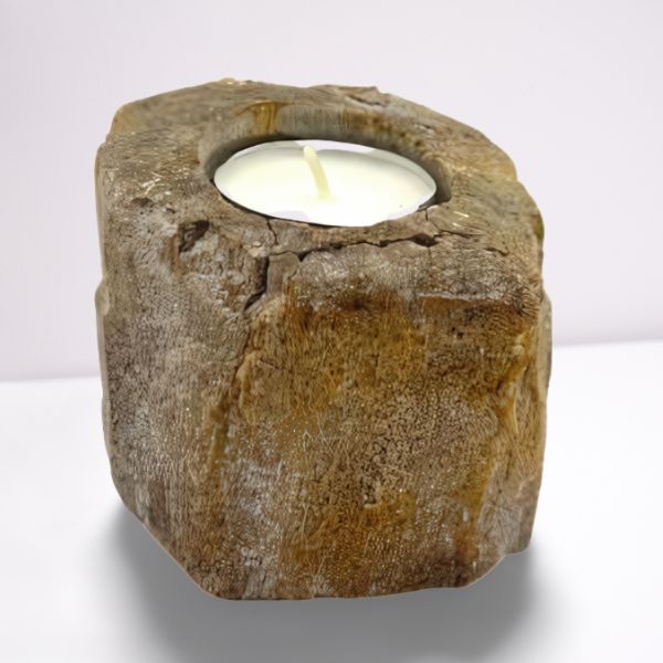 Bovenaanzicht van een kandelaar van versteend hout met ruimte voor één theelichtje, natuurlijke steen- en houtpatronen en organische texturen.

