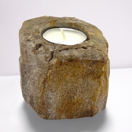 Bovenaanzicht van een kandelaar van versteend hout met ruimte voor één theelichtje, natuurlijke steen- en houtpatronen en organische texturen.
