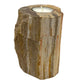 Versteend Hout Kaarsenhouder - Solo Hoog