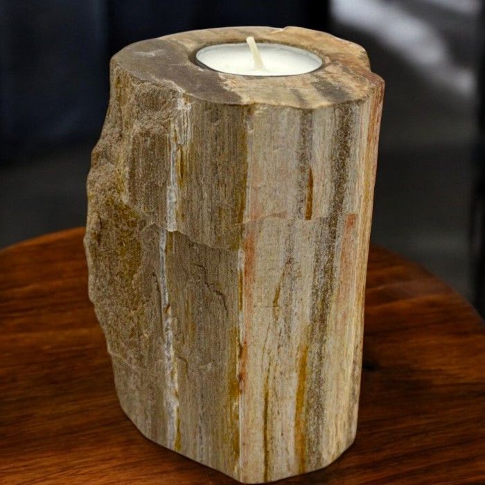 Bovenaanzicht van een hoge kandelaar van versteend hout met ruimte voor één theelichtje, natuurlijke steen- en houtpatronen en organische texturen.
