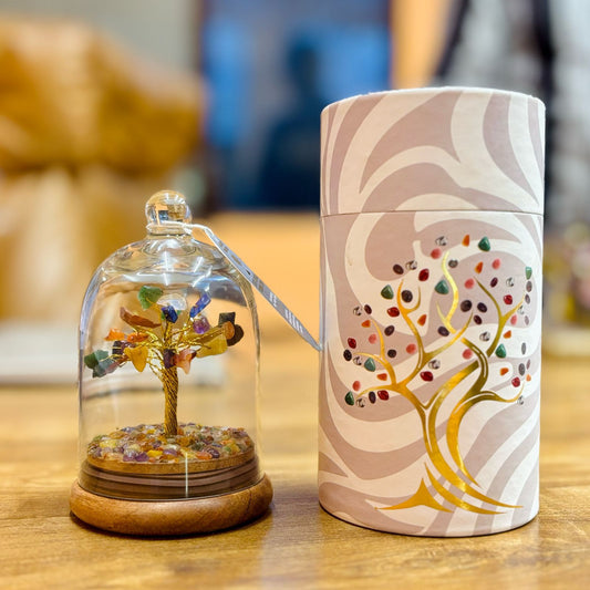 Zeven Chakra edelsteenboom met 30 kleurrijke chakra-stenen onder een glazen koepel op een houten voetstuk