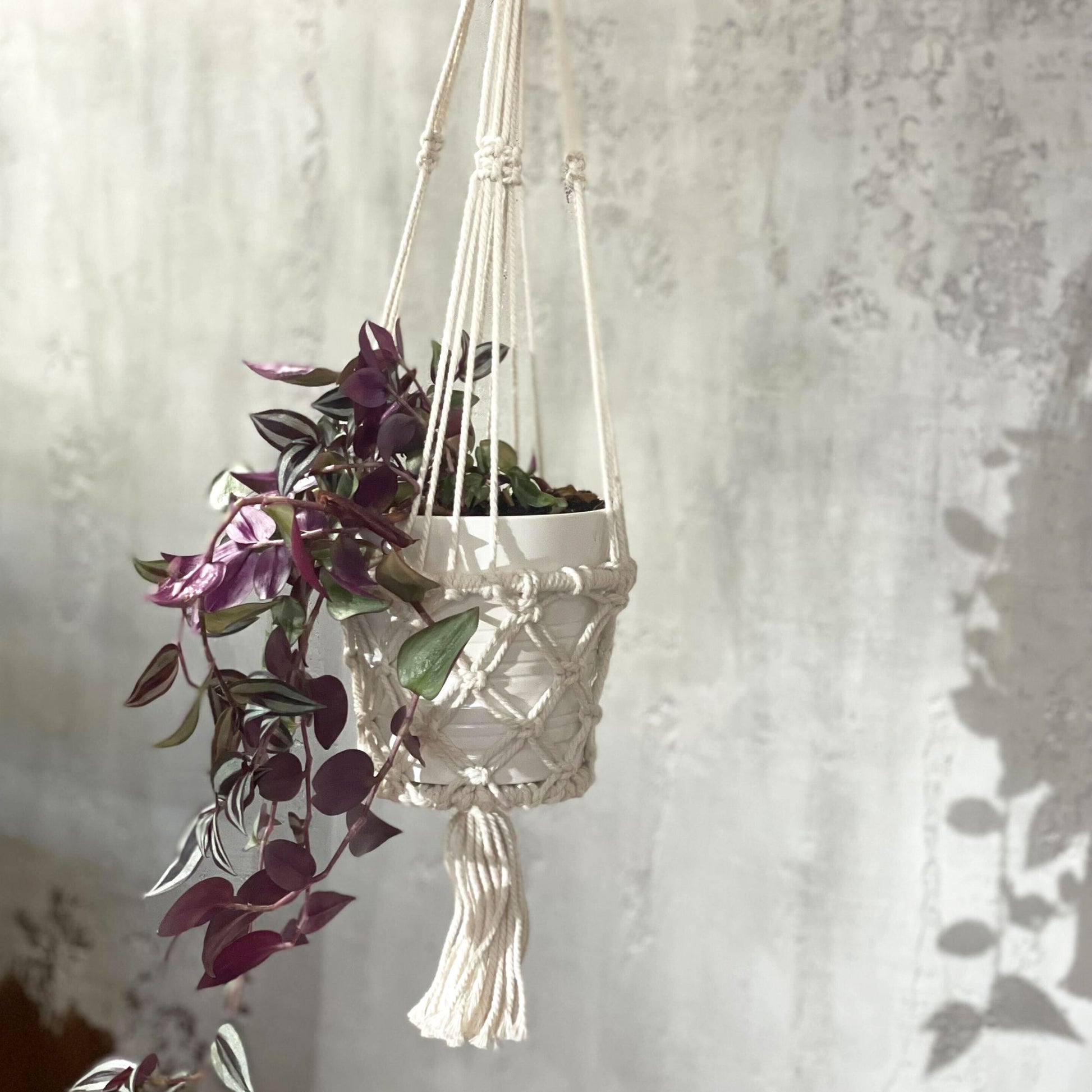 Handgemaakte macramé hanger natuurlijke vezels volledig zichtbaar - bohemian plantaccessoire

