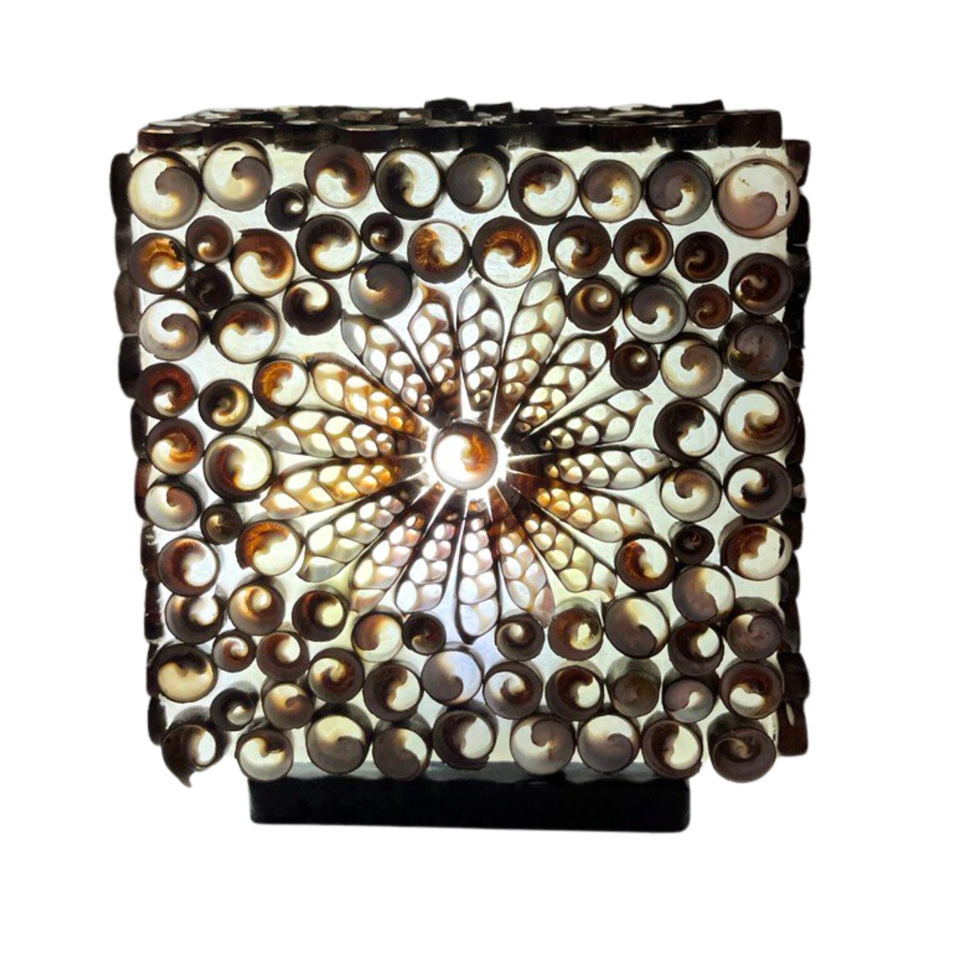 Boho schelpen lamp met chocolate twist schelpen en zachte verlichting voor coastal interieur
