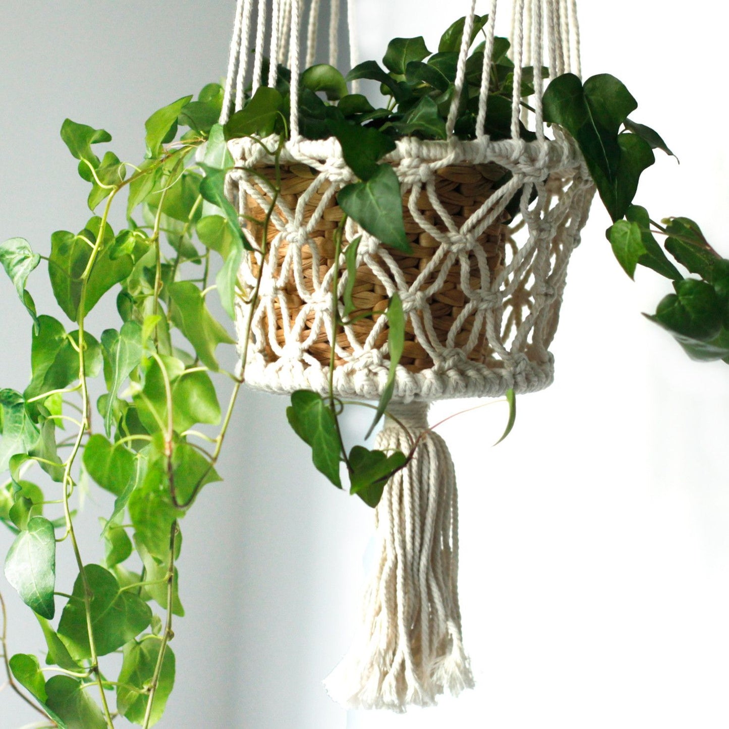 Close-up van macramé plantenhouder met dubbele houder en traditionele knooptechnieken
