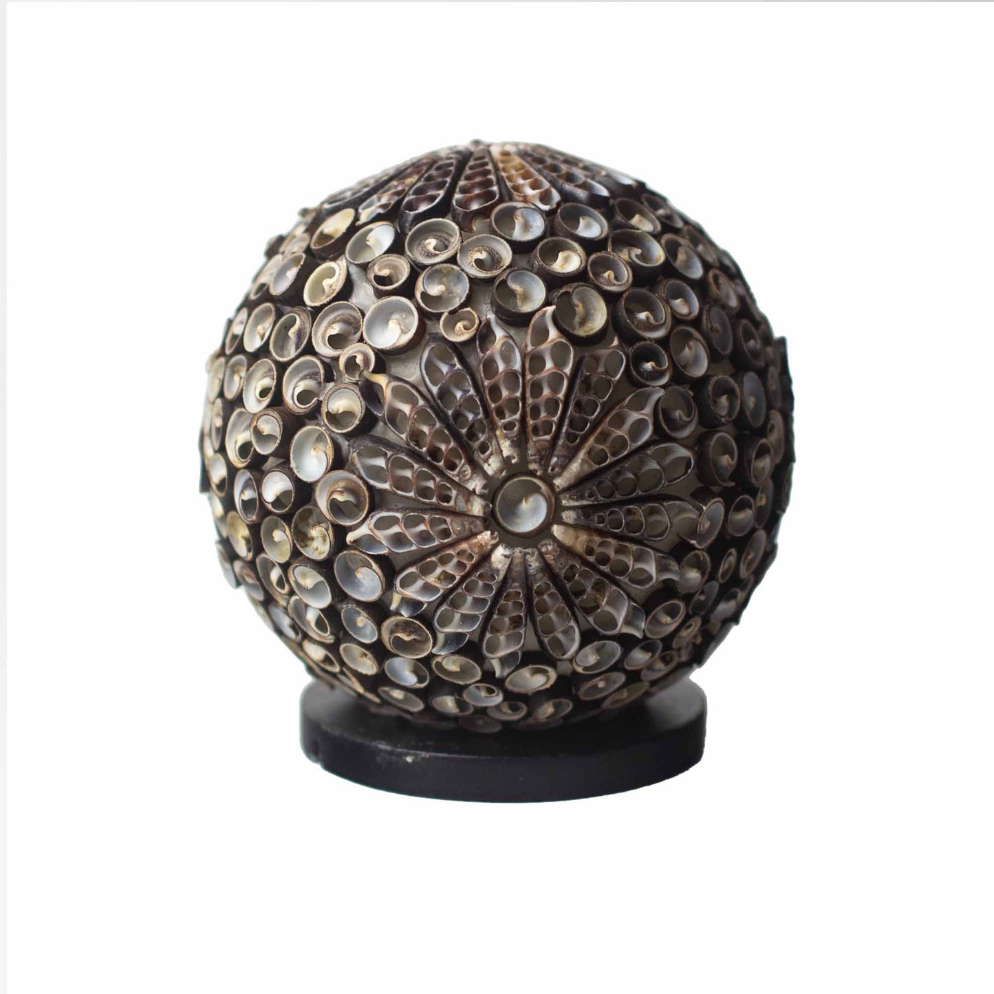 Handgemaakte schelpen lamp met chocolate twist bol design van echte schelpen uit Bali, 15cm
