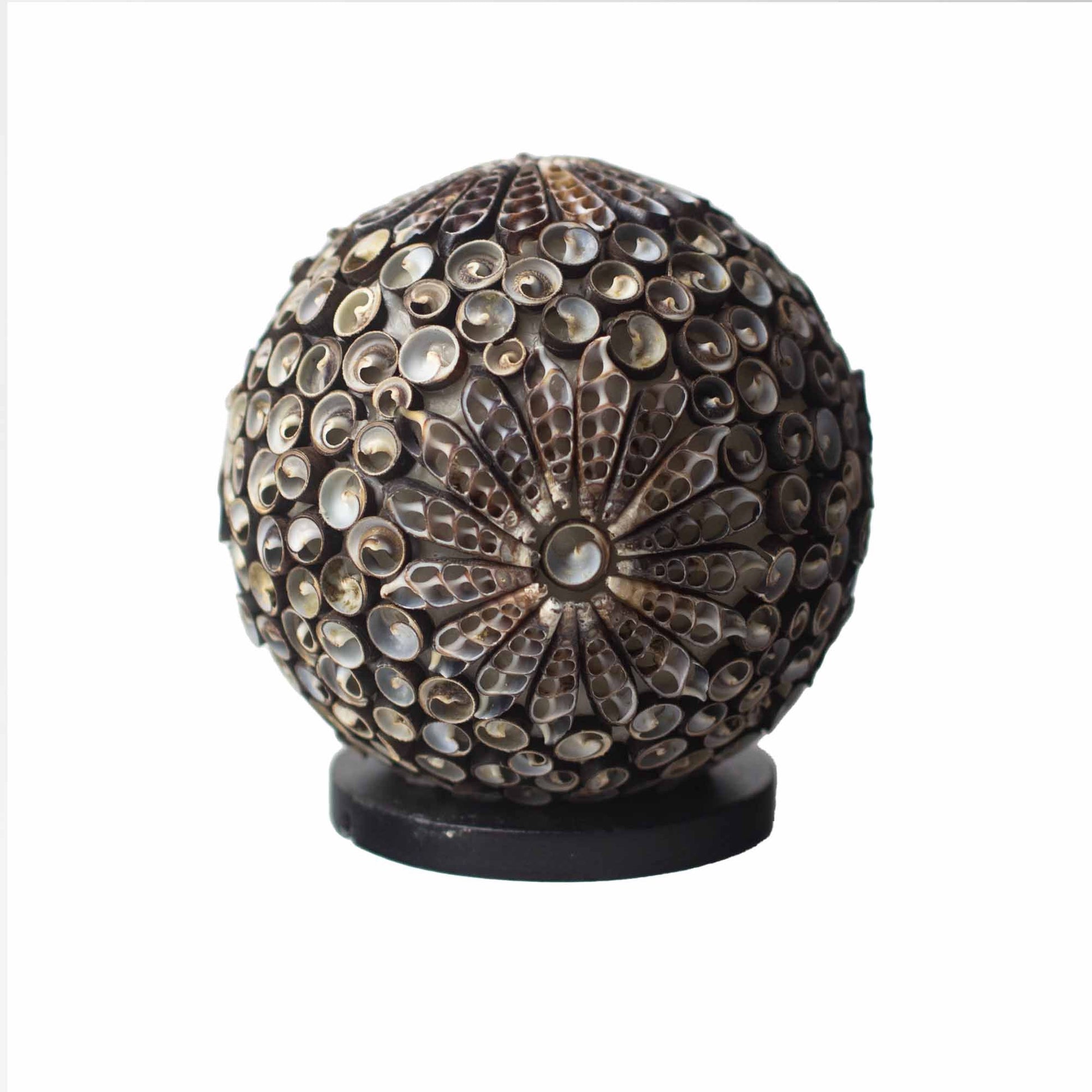 Handgemaakte schelpen lamp met chocolate twist bol design van echte schelpen uit Bali, 15cm
