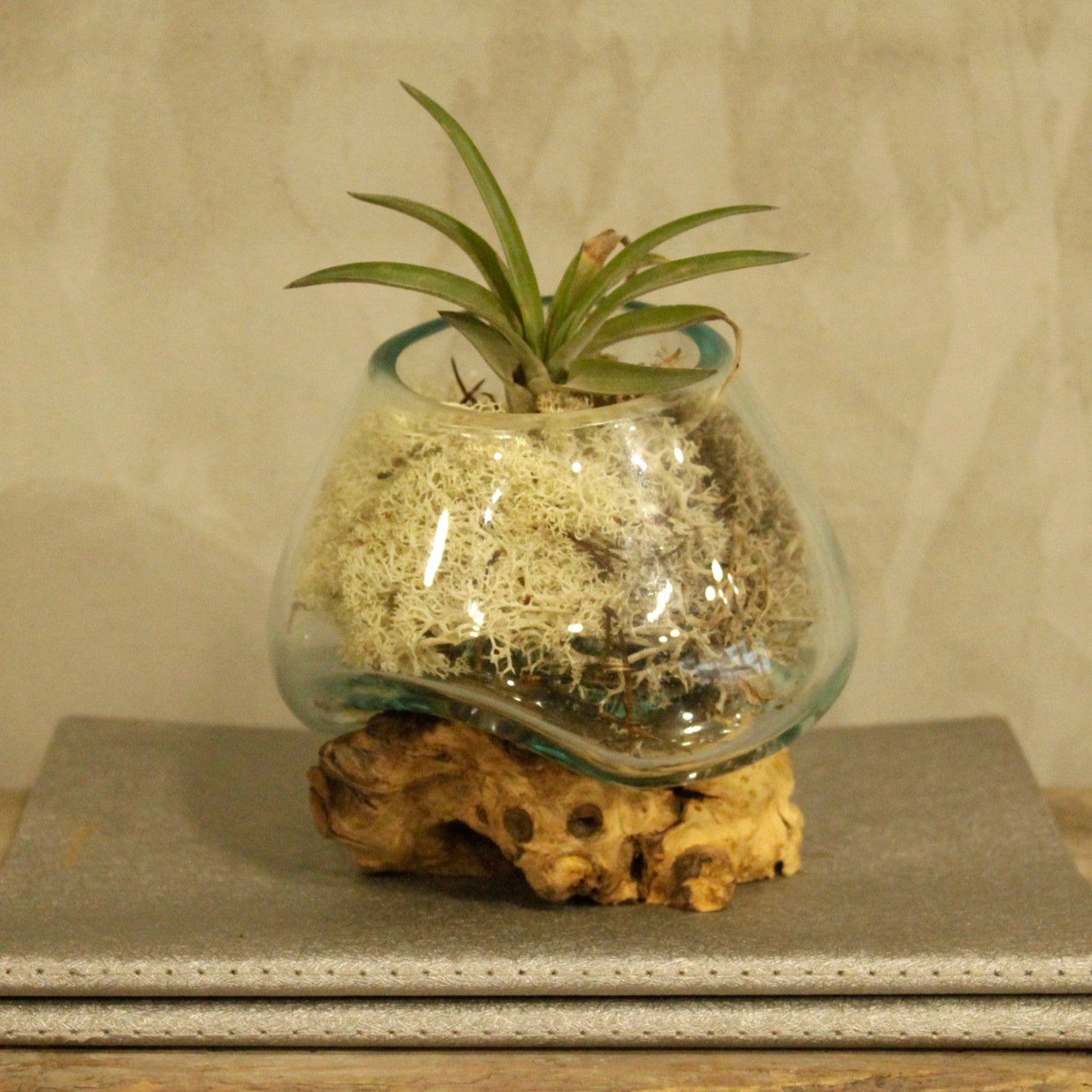 Gesmolten Glas Kleine Kom - decoratieve schaal van gerecycled glas en natuurlijk hout
