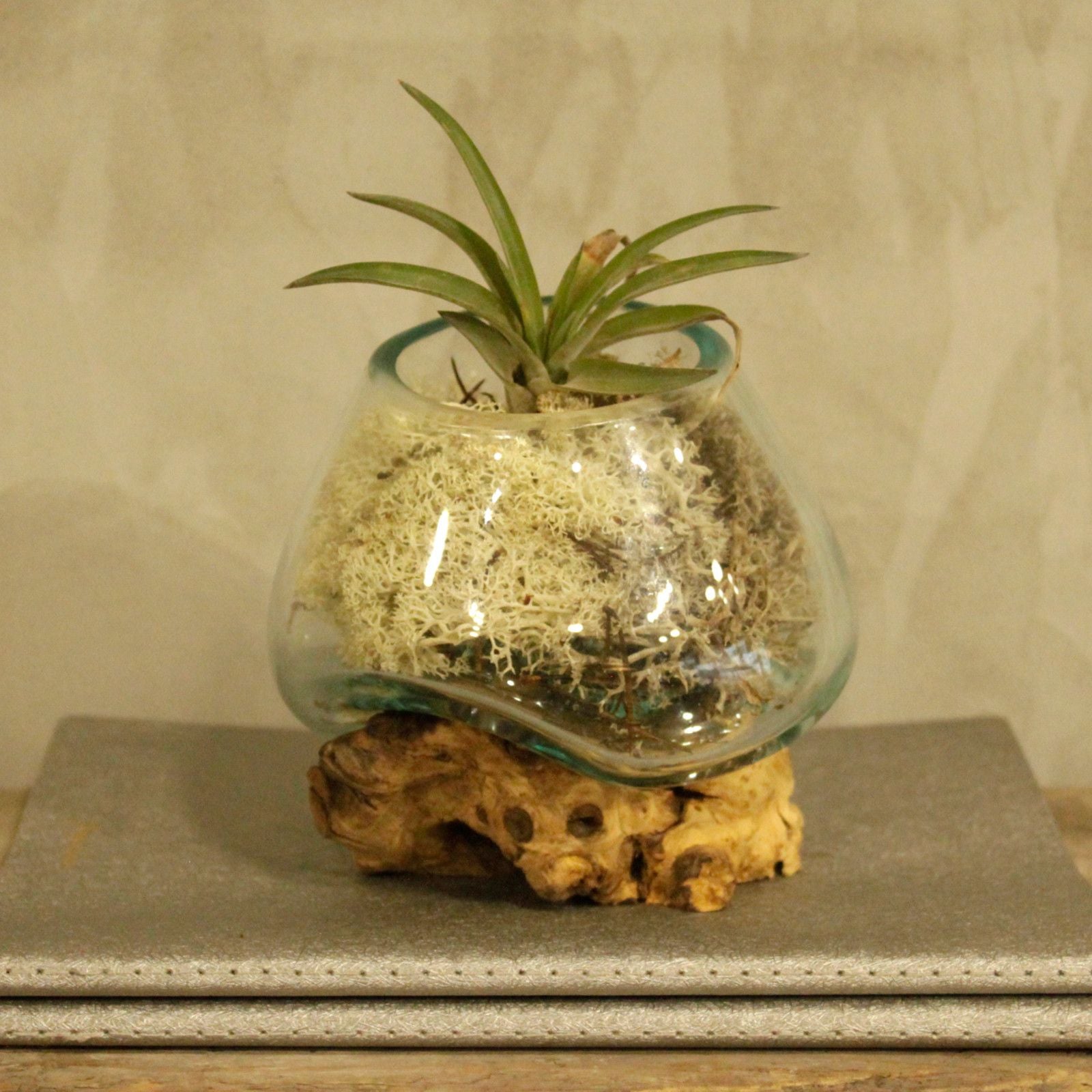 Gesmolten Glas Kleine Kom - decoratieve schaal van gerecycled glas en natuurlijk hout
