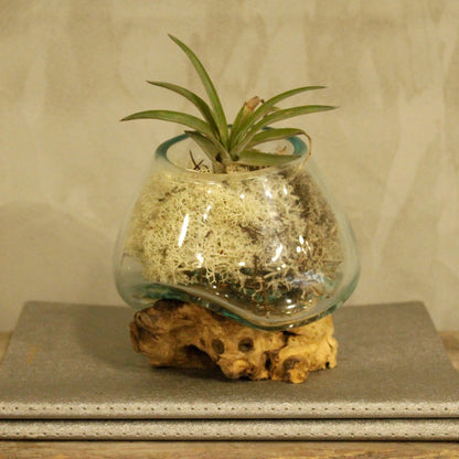 Gesmolten Glas Kleine Kom - decoratieve schaal van gerecycled glas en natuurlijk hout
