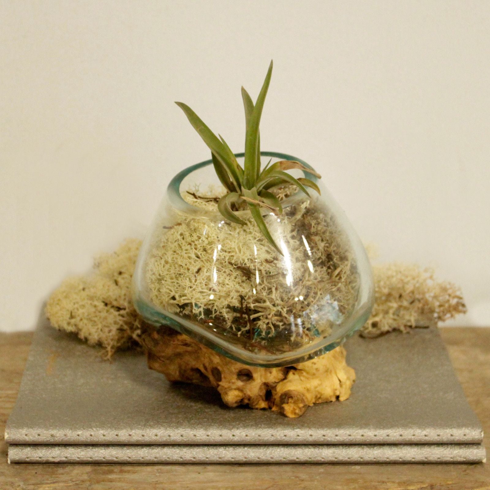 Kleine Kom Gesmolten Glas - 19cm diameter, gerecycled glas op Gamal hout, Bali
