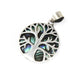 Tree of Life Hanger Zilver - Abalone - 22mm