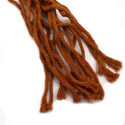 Macramé plantenhanger met plant chocoladebruin - bohemian interieur decoratie
